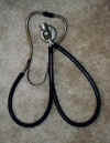 Rieger-Bowles stethoscope